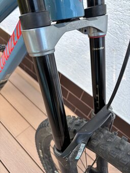 Specialized demo 2020 - 3