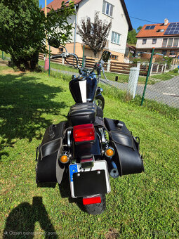 Suzuki LS 650 Savage - 3