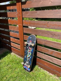 SKATEBOARD - 3