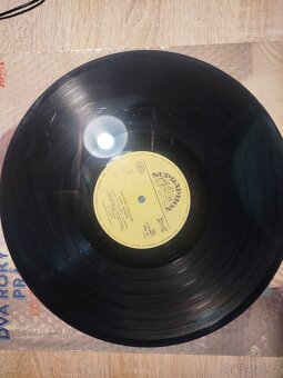 Pavel Horňák 1x lp 2x sp - 3