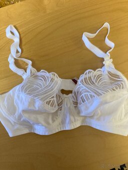 Nová značková podprsenka 80C - 3