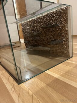 Terarium - 3