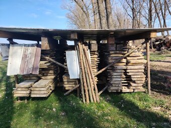 Topol prkna,fosny - 3