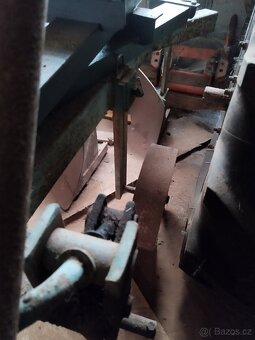 Pluh tříradličný - 3