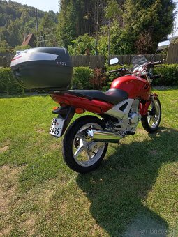 Honda CBF 250 - 3
