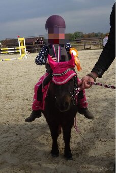 Pony na prodej - 3