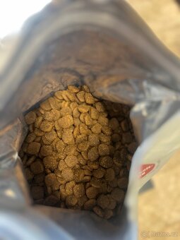 Granule Carnilove - Lamb - 5,6 kg - 3