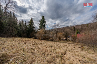 Prodej pozemku k bydlení, 3721 m², Zubří - 3
