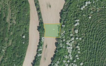 Zemědělská půda, prodej, Lovčice, Hodonín - 3