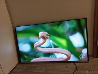 Panasonic 48" 124 cm Youtube Netflix Wifi - 3