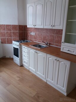 Pronajem bytu 2+1 - 3