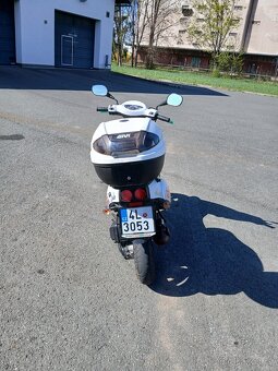 TBG Tapo 50 - 3