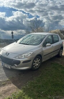 Peugeot 307 - 3