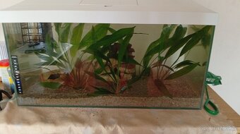 Akvarium - 3