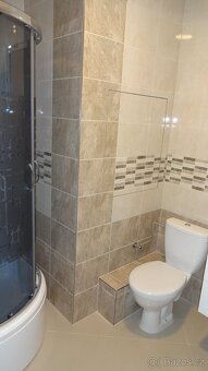 Pronájem bytu 2+KK - 3