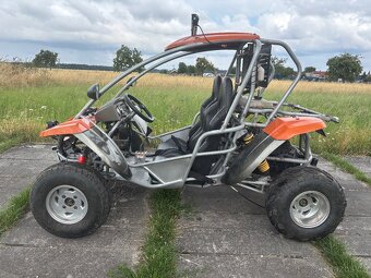 Buggy RENLI 250 - SPZ - 3