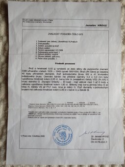 Prodám starožitnou zlatou brož s diamanty Art-Deco. - 3