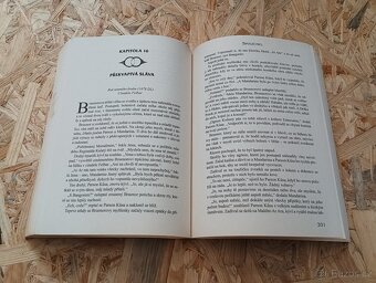 Společníci - R. A. Salvatore - 3