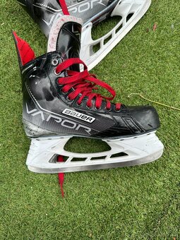 Brusle - bauer vapor x.3.7 - 3