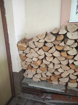 Palivové dřevo - 3