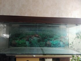 Akvárium Terarium 140x50x50 - 3