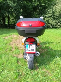 Kentoya Sharky 50 2T - 3