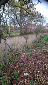 Pozemek u Lubence - 3