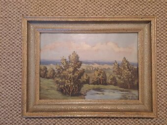 Prodám starší obrazy - 3