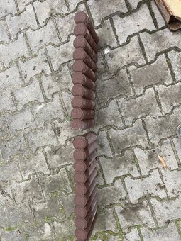 Palisáda hnědá - 3