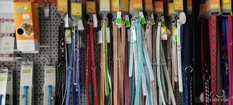 Prodám větší množství obojku pro psy sleva 50 % - 3