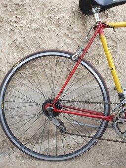 Kolo Colnago - 3
