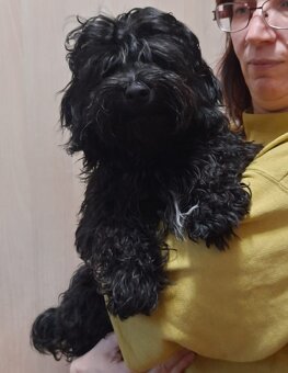 Ruská barevná bolonka s PP - 3