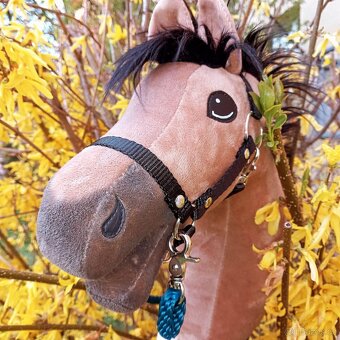Hobby horse - 3