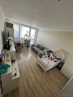 Pronájem zrekonstruované 1+1, Frýdlantská, Místek - 3