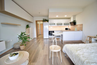 Pronájem bytu 1+kk, Slavonínská, Olomouc, 15 500 Kč/měs, 41  - 3