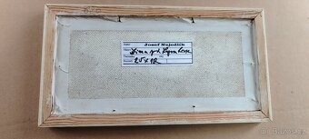 Obraz Josef Nejedlík - 3