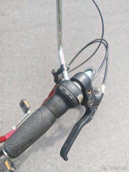 Loped - 3