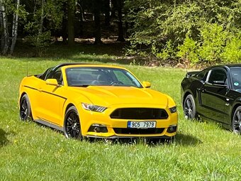 Mustang Cabrio 3,7 V6 - 3