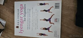 Iyengar Yoga - 3