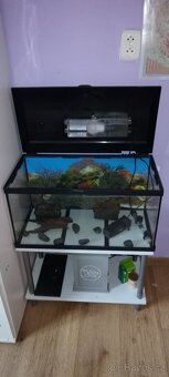 Prodám akvárium - 3