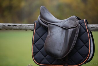 Drezurní Childéric 17,5 - 3