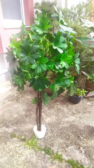 Prodám umělé 2ks květiny na dekoraci a přidám malou květinu - 3