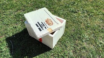 Polystyrenový termobox - 6 ks - 3