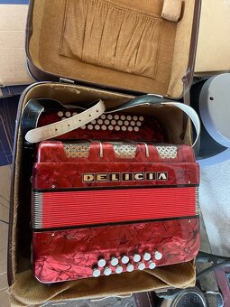 Heligonka Delicia favorit 3 - 3