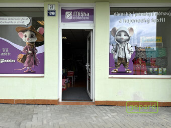 Pronájem komerčních prostor - 3