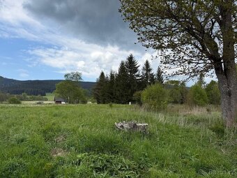 Stavební pozemek s realizaci rekreační chalupy - 3