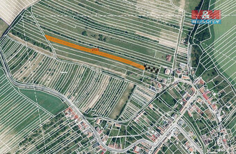 Prodej pole, 616 m², Stavěšice - 3