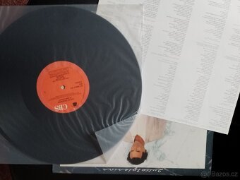 Julio Iglesias Hvězdná Noc LP Vinyl + Rod Stewart g.t hits - 3