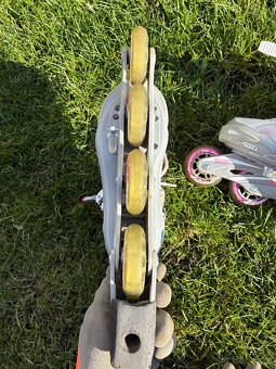 Brusle koleckove NOVE rostouci vel. 5-8 - 3