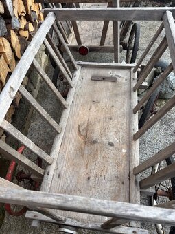 Starožitný žebřiňák - 3